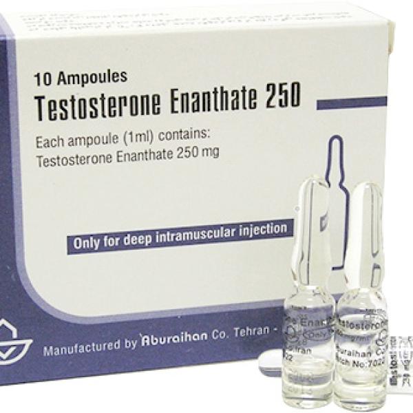 TESTOSTERONE ENANTHATE (GM PHARMACEUTICALS)